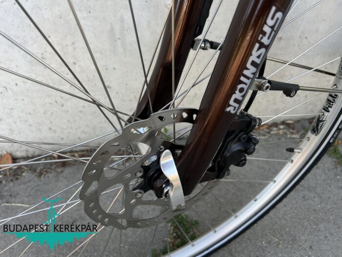 WINORA CB1 SPECIAL EDITION – 28” Női Elektromos Trekking E-Bike | Kényelem, Stílus! - Image 8