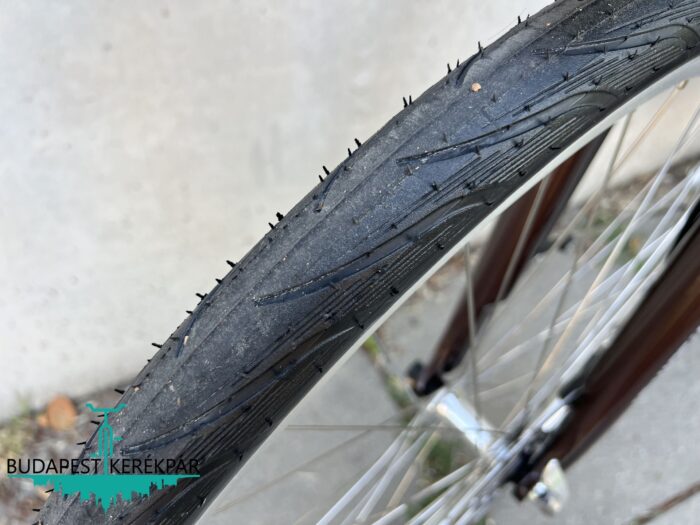 WINORA CB1 SPECIAL EDITION – 28” Női Elektromos Trekking E-Bike | Kényelem, Stílus! - Image 3