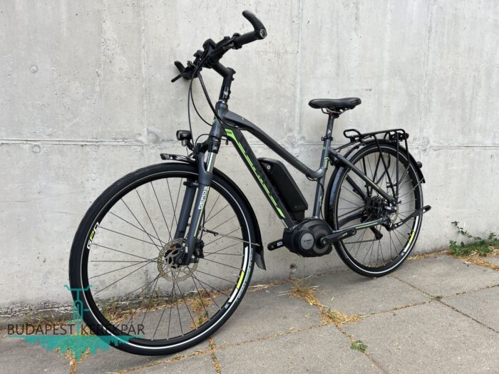 Gepida Alboin E-Line 1000  Pedelec E-Bike Bosch mint az új! - Image 10