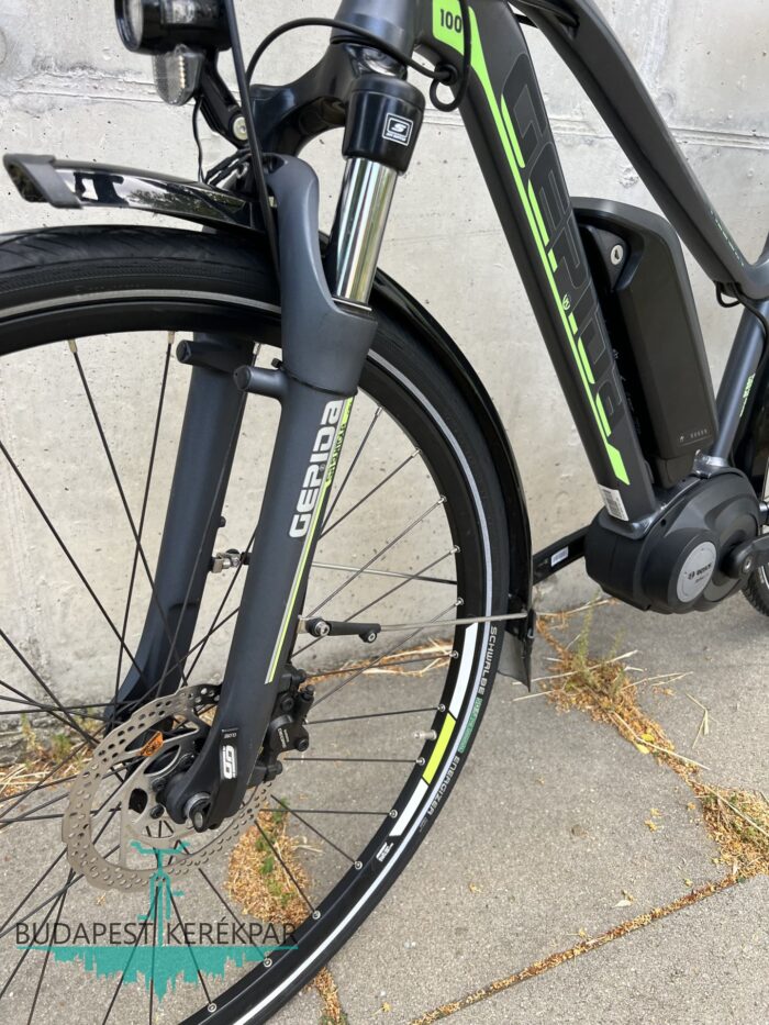 Gepida Alboin E-Line 1000  Pedelec E-Bike Bosch mint az új! - Image 7
