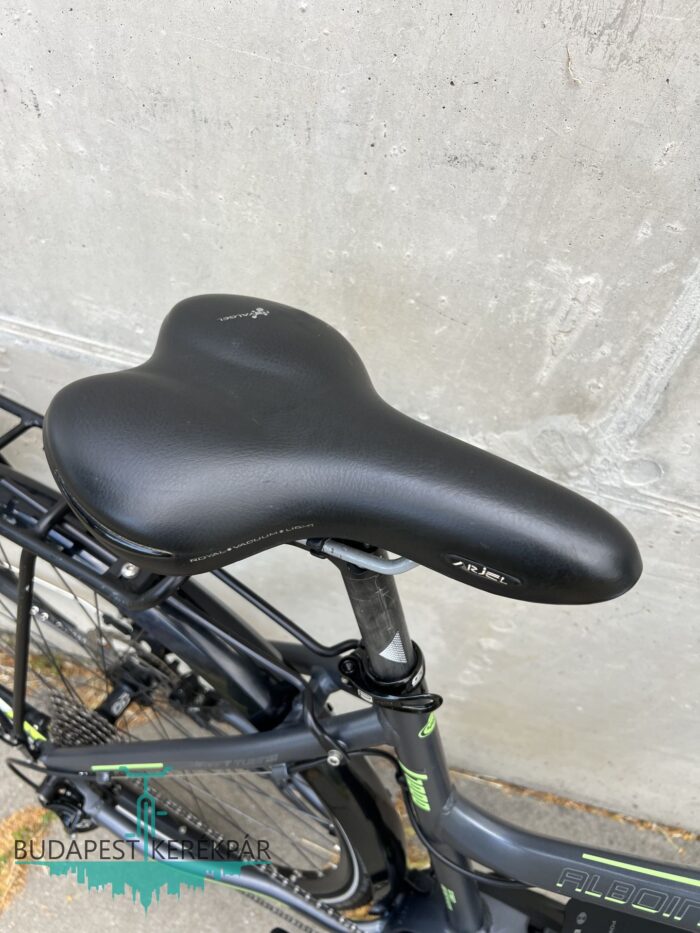 Gepida Alboin E-Line 1000  Pedelec E-Bike Bosch mint az új! - Image 2