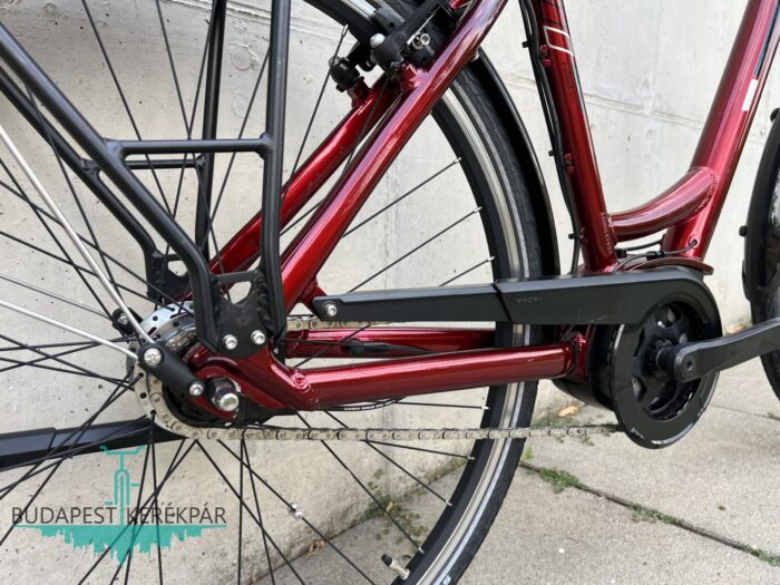 Bosch Triumph E-Cloud 307 ebike, pedelec 2021 - Image 8