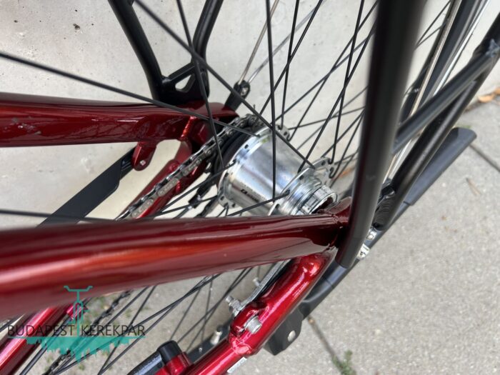 Bosch Triumph E-Cloud 307 ebike, pedelec 2021 - Image 7