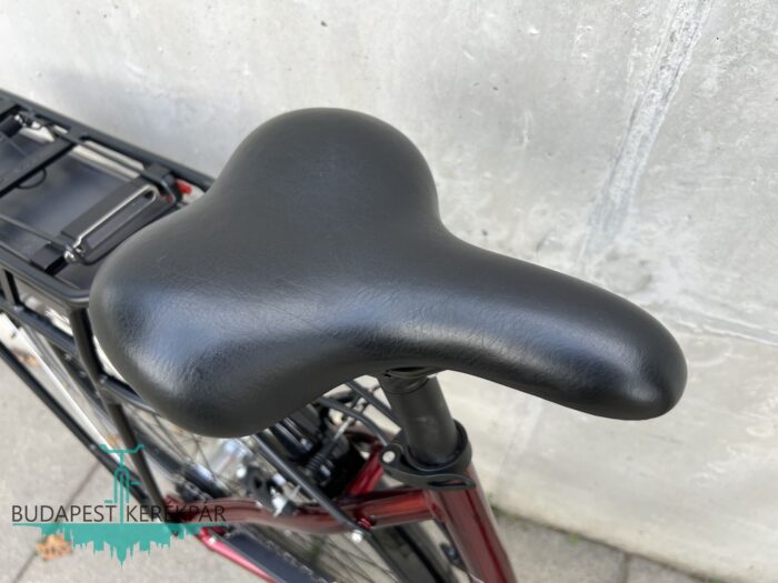 Bosch Triumph E-Cloud 307 ebike, pedelec 2021 - Image 5