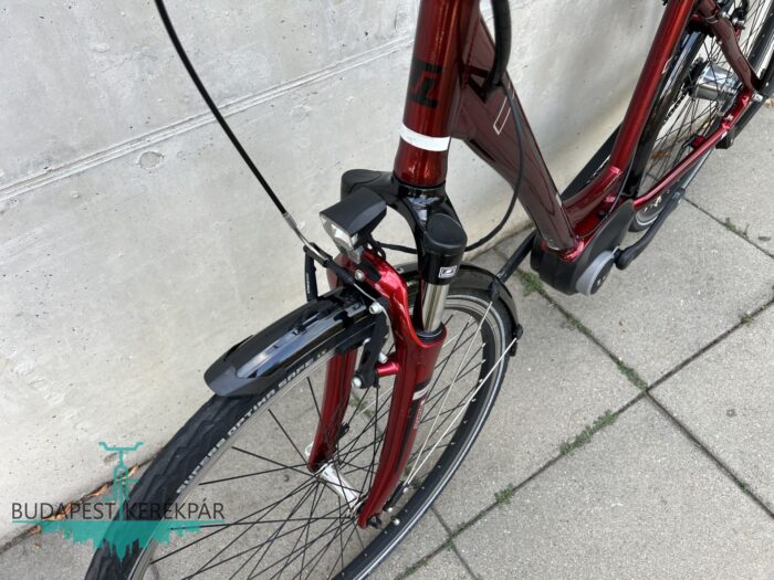 Bosch Triumph E-Cloud 307 ebike, pedelec 2021 - Image 4