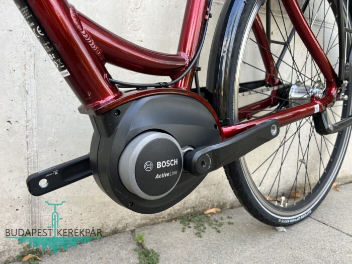 Bosch Triumph E-Cloud 307 ebike, pedelec 2021 - Image 3