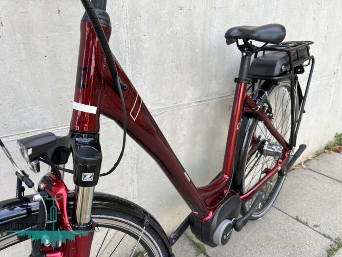 Bosch Triumph E-Cloud 307 ebike, pedelec 2021 - Image 2